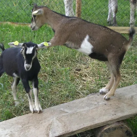 Jagerhof Farm stay *