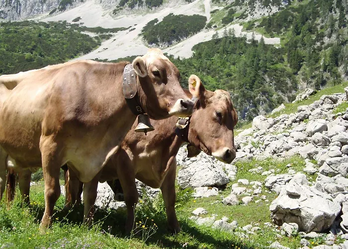 Alojamento de Turismo Rural Jagerhof Walchsee