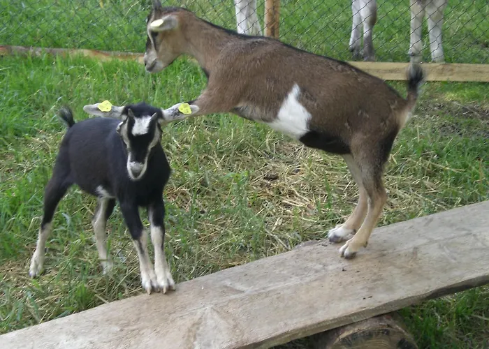 Jagerhof Lantgård *